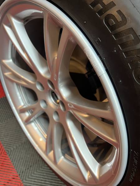 Protection de Jantes Alu ALLOYGATOR sur Tesla Model Y à Lill